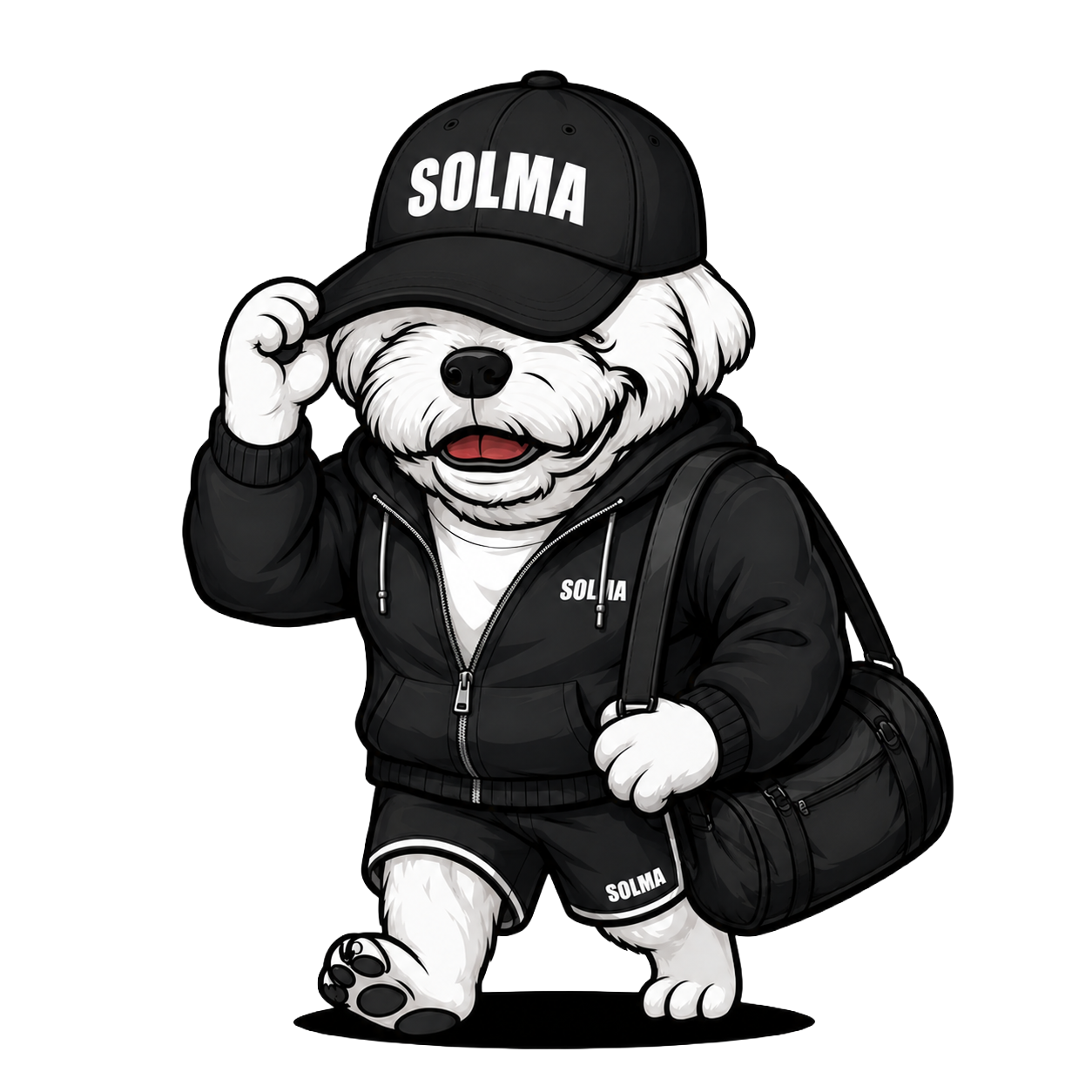 Solma 프로필